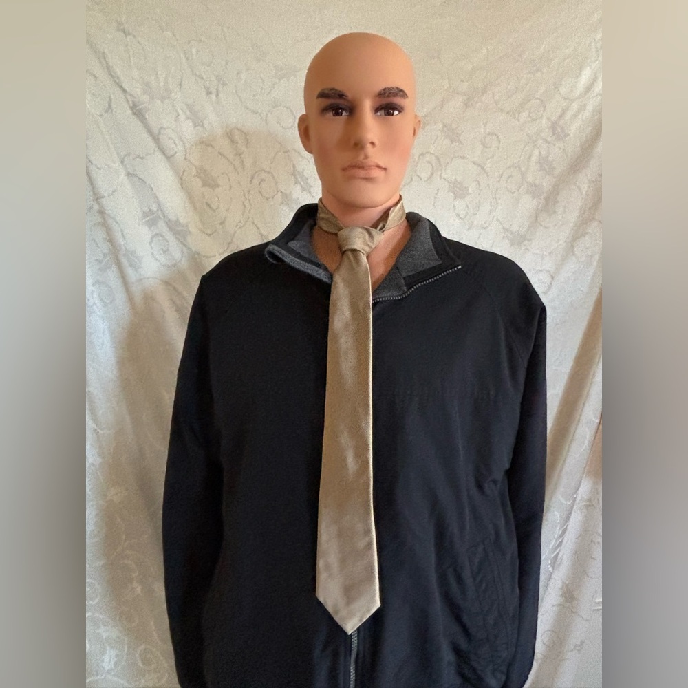 Baker Street by Van Heusen Tan Tie (Good Condition)